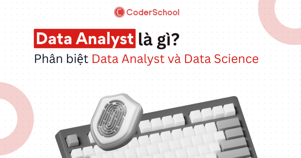 [2026] Data Analyst là gì? Lộ trình học từ A-Z cho người mới bắt đầu!