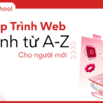 Học Lập Trình Web Từ A-Z: Lộ Trình Học Tech Cho Người Mới Và Trái Ngành
